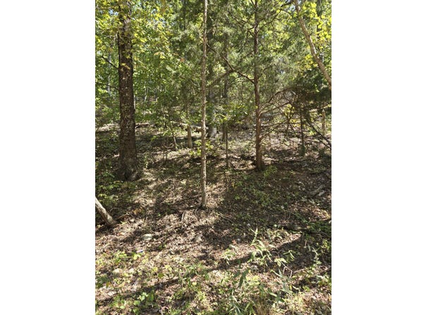 County Road 421, Birch Tree, MO 65438