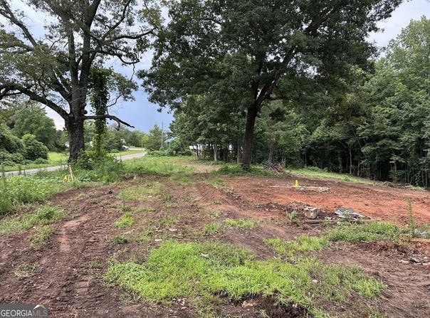 0 County Road 61, Roanoke, AL 36274