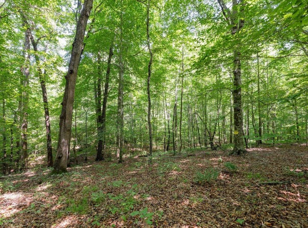 6910 Long Meadow Lane, Whitsett, NC 27377