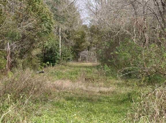 E Essex Road, Hastings, FL 32145