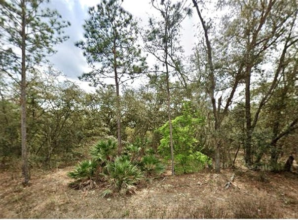 109 DOTTIE STREET, INTERLACHEN, FL 32148
