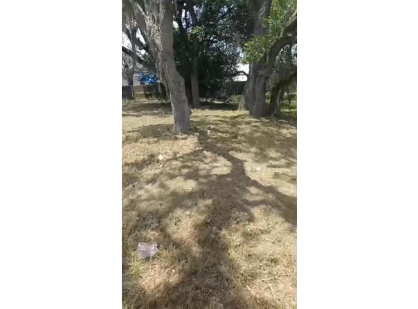 2118 Steiner Ave, Sebring, FL 33870