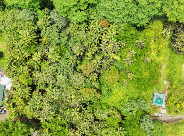 JAPANESE CAMP RD, Pahoa, HI 96778