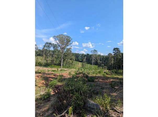 TBD CR 142 N, San Augustine, TX 75972