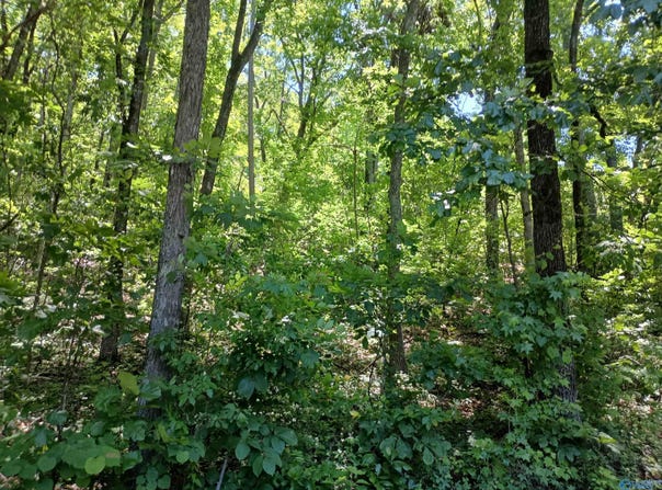 386 Creekview Drive, Rainbow City, AL 35906