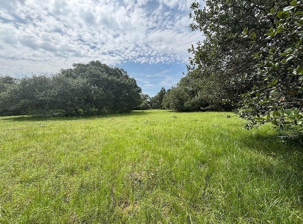 Frantz Road, Cat Spring, TX 78933