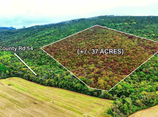 37 County Road 54, Stevenson, AL 35772