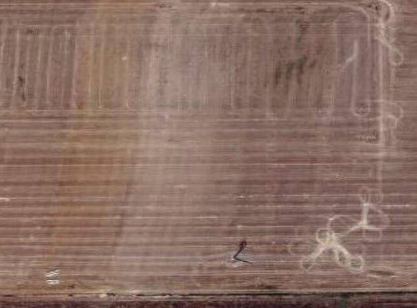 2192 Co Rd 4, Wilson, TX 79381
