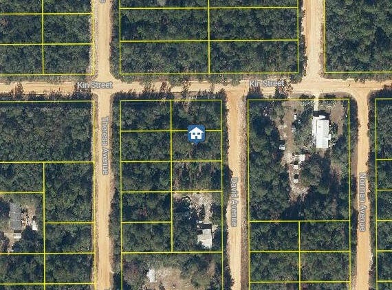 David Avenue lot: 31, Interlachen, FL 32148