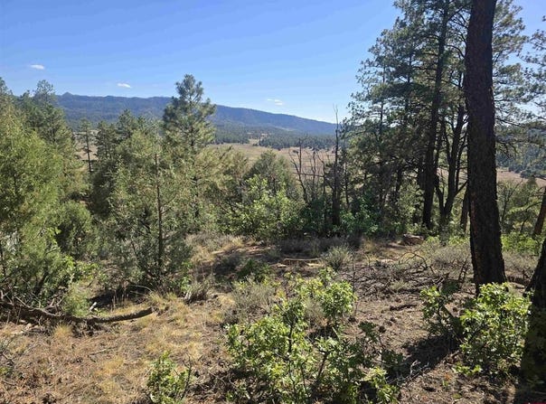 147 Cat Creek Overlook, Pagosa Springs, CO 81147