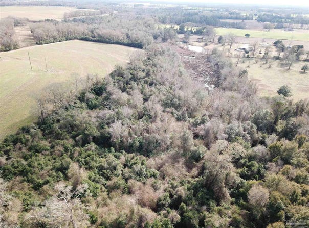 Beck Ave lot: 4, Jay, FL 32565
