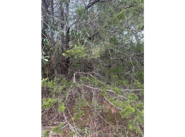 223 Mokulua Ln, Bastrop, TX 78602