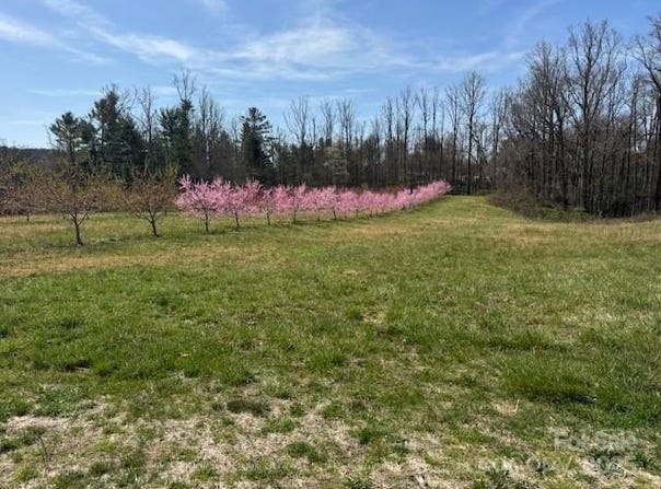 St Pauls Road, Hendersonville, NC 28792