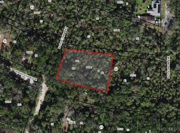 5791 S Boulevard Drive, Homosassa, FL 34448
