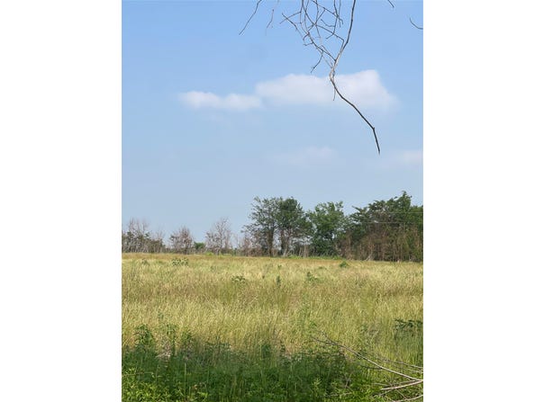 County Line, Commerce, TX 75428