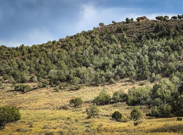 TBD Road 35, Mancos, CO 81328