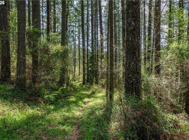 18675 SW FOREST PARK RD, Hillsboro, OR 97123