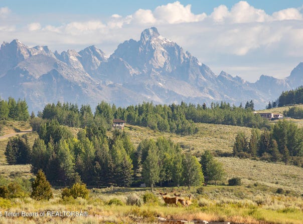 400 RED TAIL BUTTE Road, Jackson, WY 83001