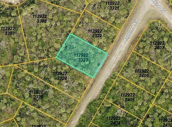 Royalred Avenue, North Port, FL 34288