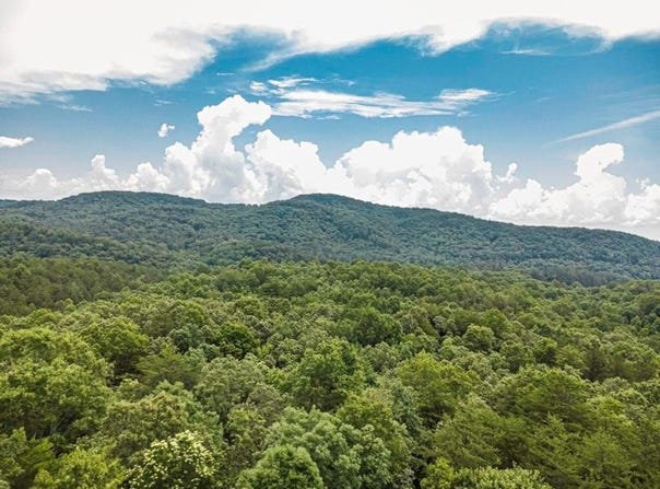 56.6 Ac Cutcane Road, Mineral Bluff, GA 30559