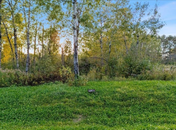 TBD Jenny Farms Ln, Hermantown, MN 55810