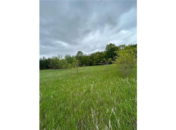 Xxx Calico Trail, Motley, MN 56466