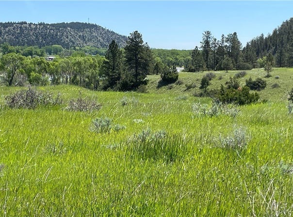 23 Daniel Trail, Columbus, MT 59019