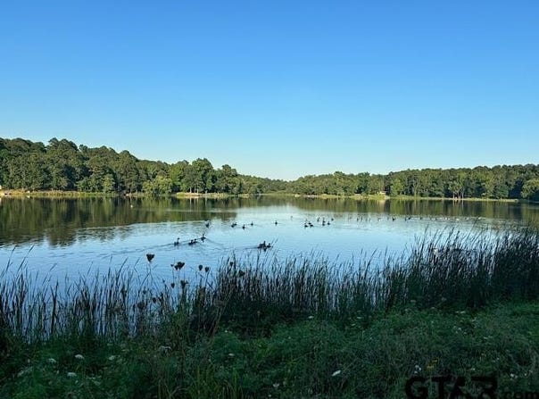 214 Private Road 8693, Winnsboro, TX 75494