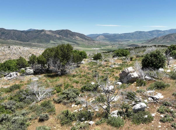 8099 Crystal Springs Road, McCammon, ID 83250