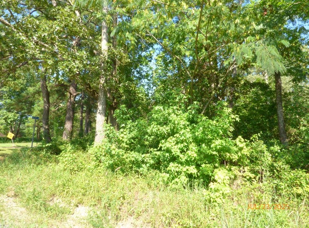 0 Big Woods Road, Pineville, SC 29468