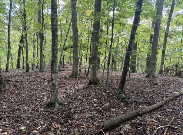99 Dogwood Trail, Nancy, KY 42544
