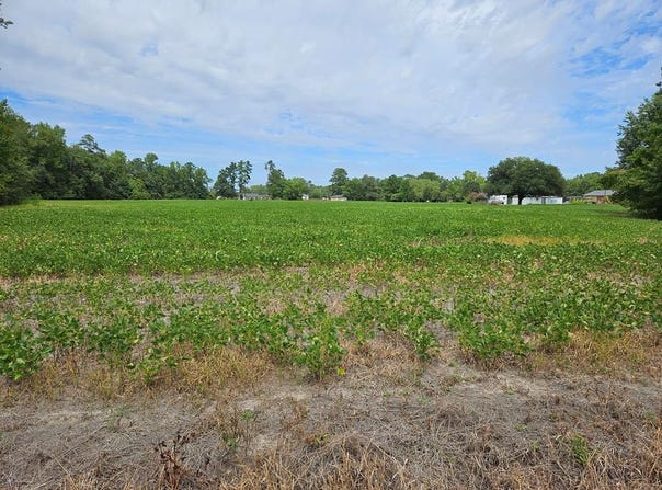 Tbd Alice Myers Lane, Olanta, SC 29114