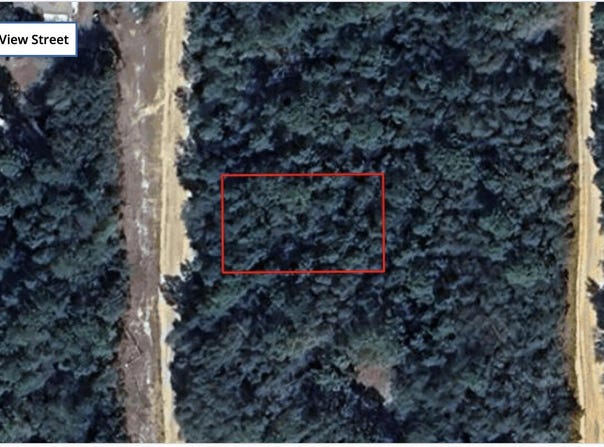Tbd Louise Avenue, Interlachen, FL 32148