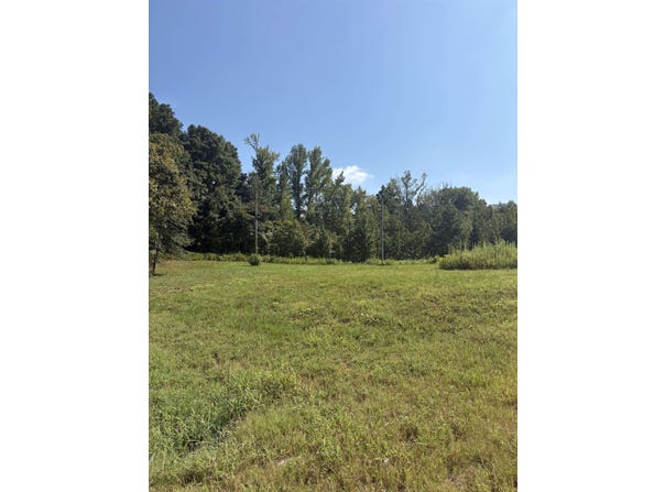 001 HANCOCK Rd, Ripley, TN 38063