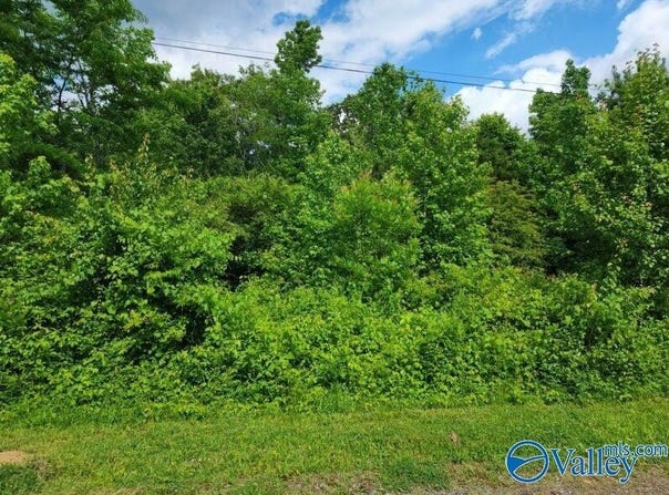 Lot Dolphin Point Drive, Langston, AL 35755
