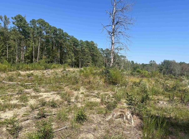 2367 Hwy 346, Amity, AR 71921