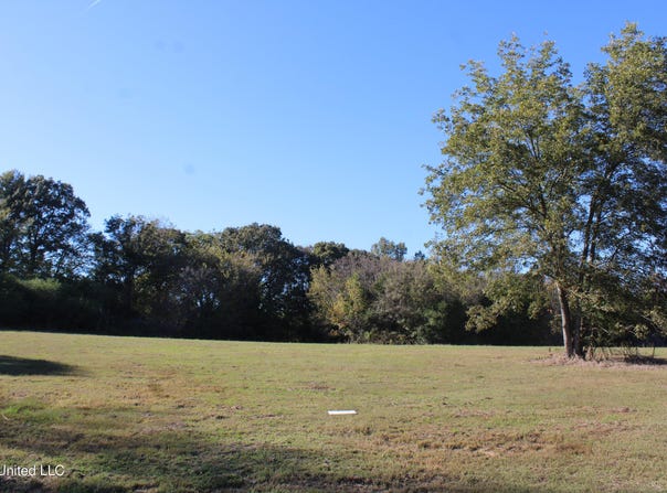 113 Bull Horn Road, Como, MS 38619