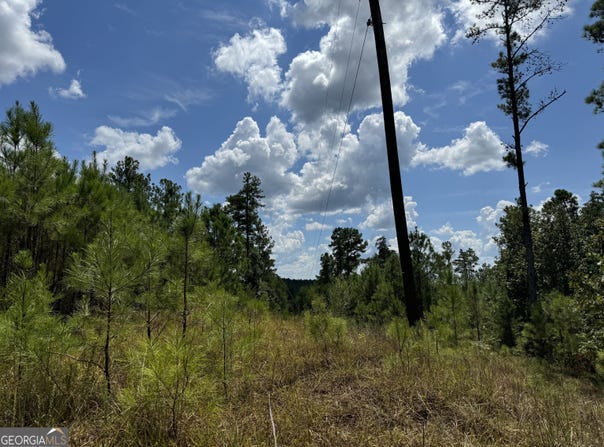 08 Adams, Bankston, AL 35542