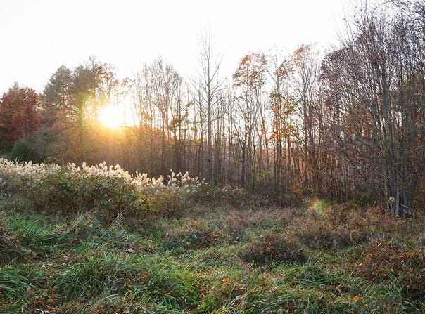 Pridemoore Rd. lot: 9, Galax, VA 24333