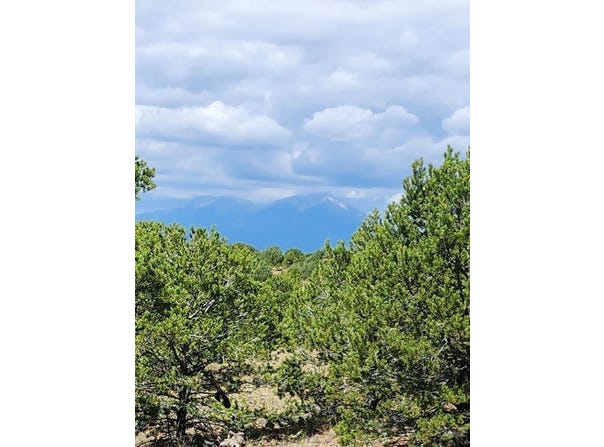Pinion Ridge Dr, Aguilar, CO 81020