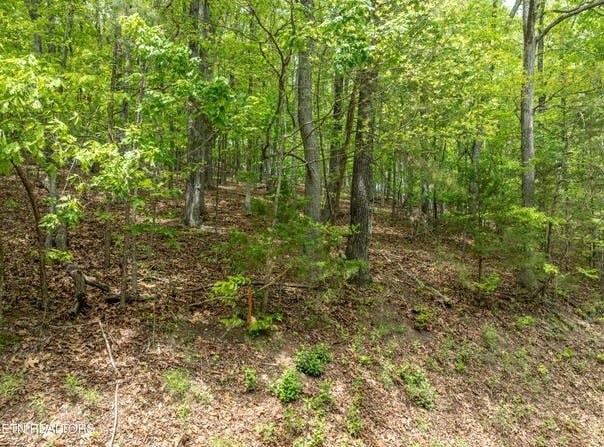 211 Wahuhu Lane, Loudon, TN 37774