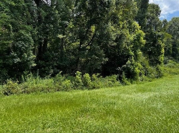 Solomon Dairy Road, Quincy, FL 32351