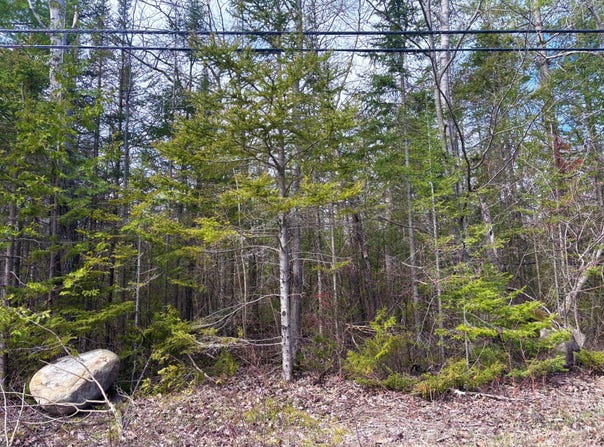 E Grand Lake Road lot: 202 & 203, Presque Isle, MI 49777