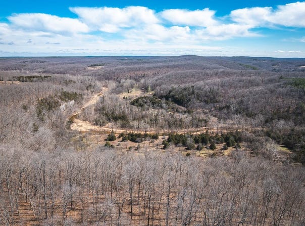 98 acres off Highway Y, Courtois, MO 65565