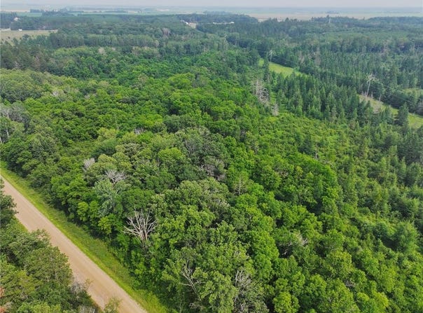 Tbd Arbor Rd, Park Rapids, MN 56470