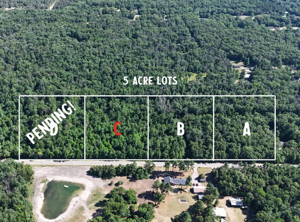 Par C W Almy Road, Howard City, MI 49329
