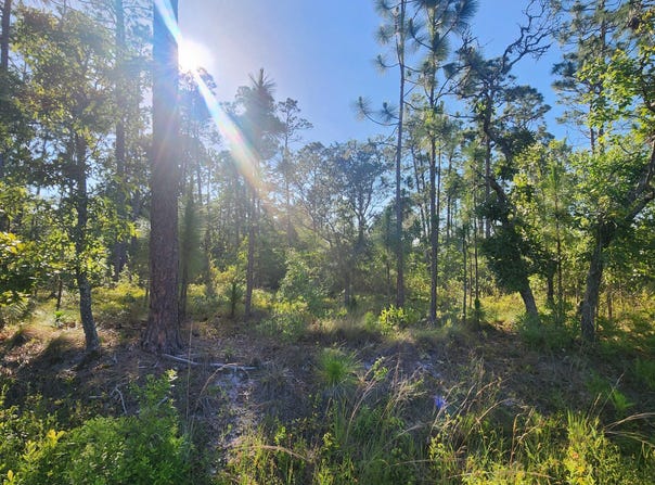 2021 E Boiling Spring Road, Southport, NC 28461