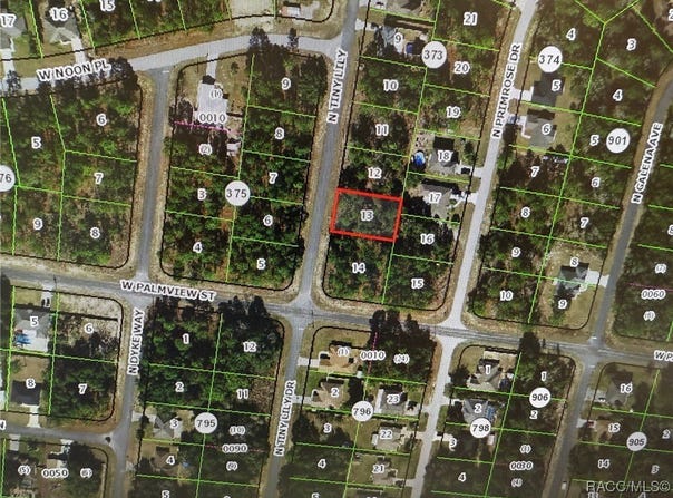 8229 N Tiny Lily Drive, Citrus Springs, FL 34434