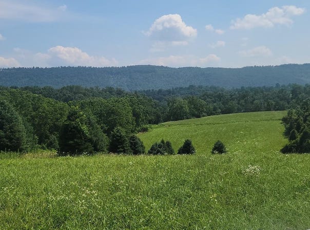434 WINDING HOLLOW ROAD, HERNDON, PA 17830