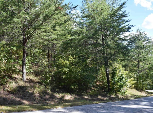 Holland Drive lot: 3, Columbus, NC 28722